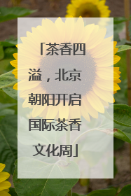 茶香四溢，北京朝阳开启国际茶香文化周
